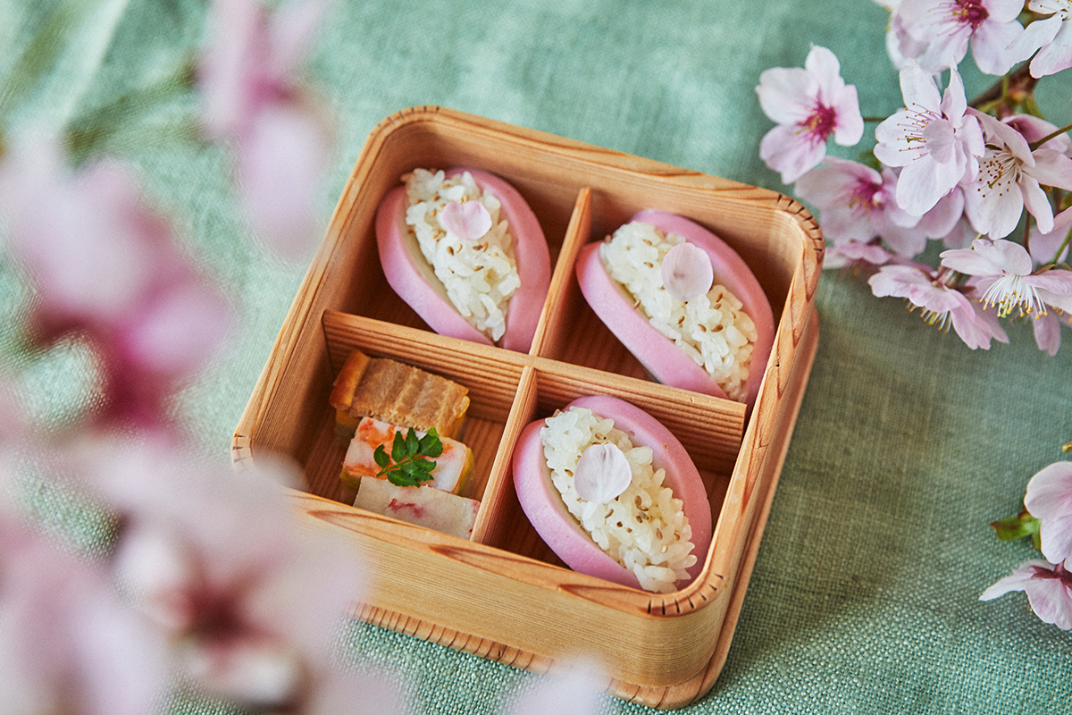 箱根・小田原の春散策に！箱屋常吉の「おひつのようなお弁当箱」にかまぼこ寿司をつめて
