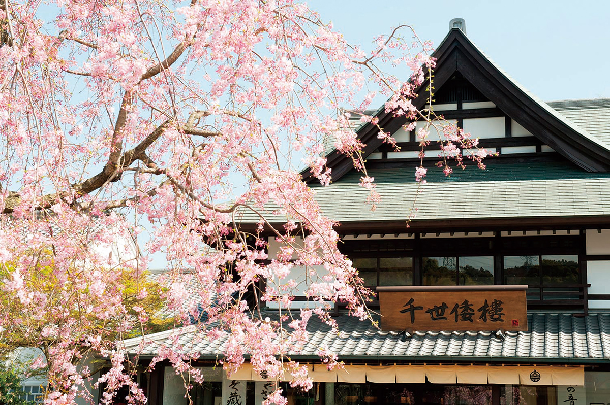 箱根山麓の麓 「かまぼこの里」にも春がやってまいりました
