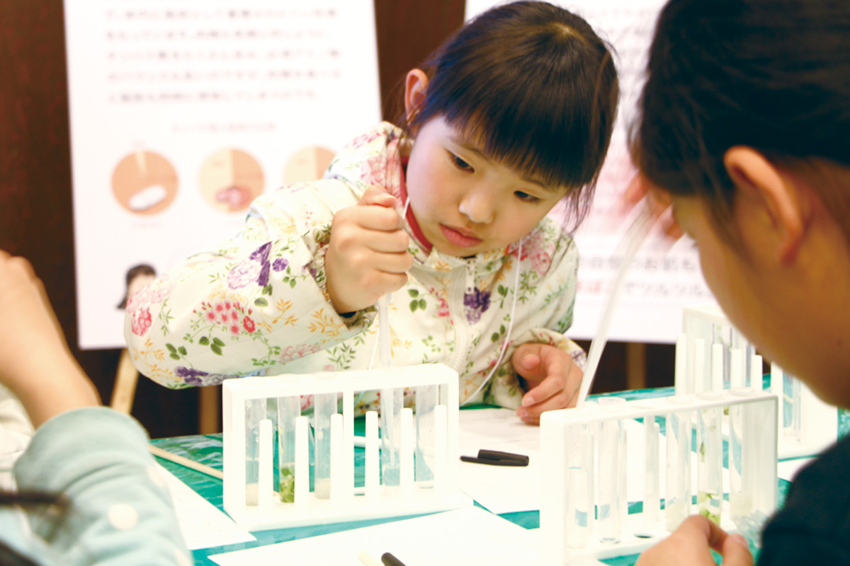 【体験】かまぼこの科学実験教室
