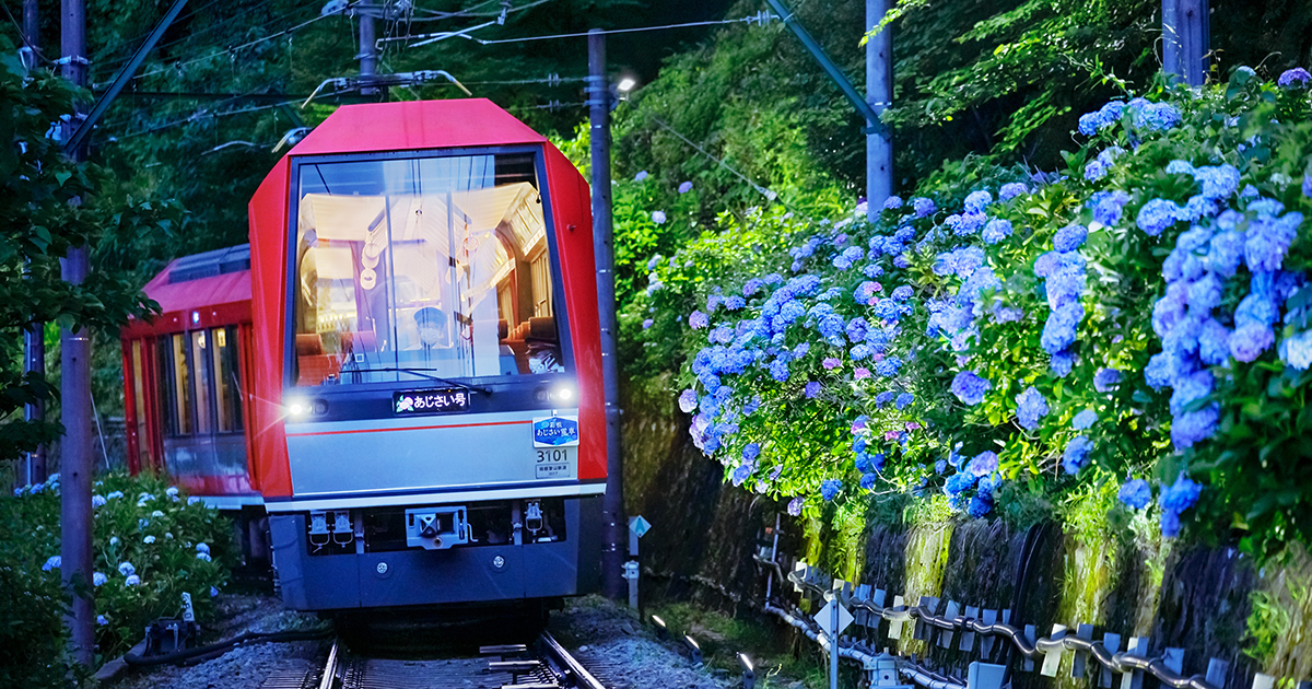 CAFE107×箱根登山電車 1両貸し切りの特別企画「夜のあじさい電車ツアー」6月22日開催