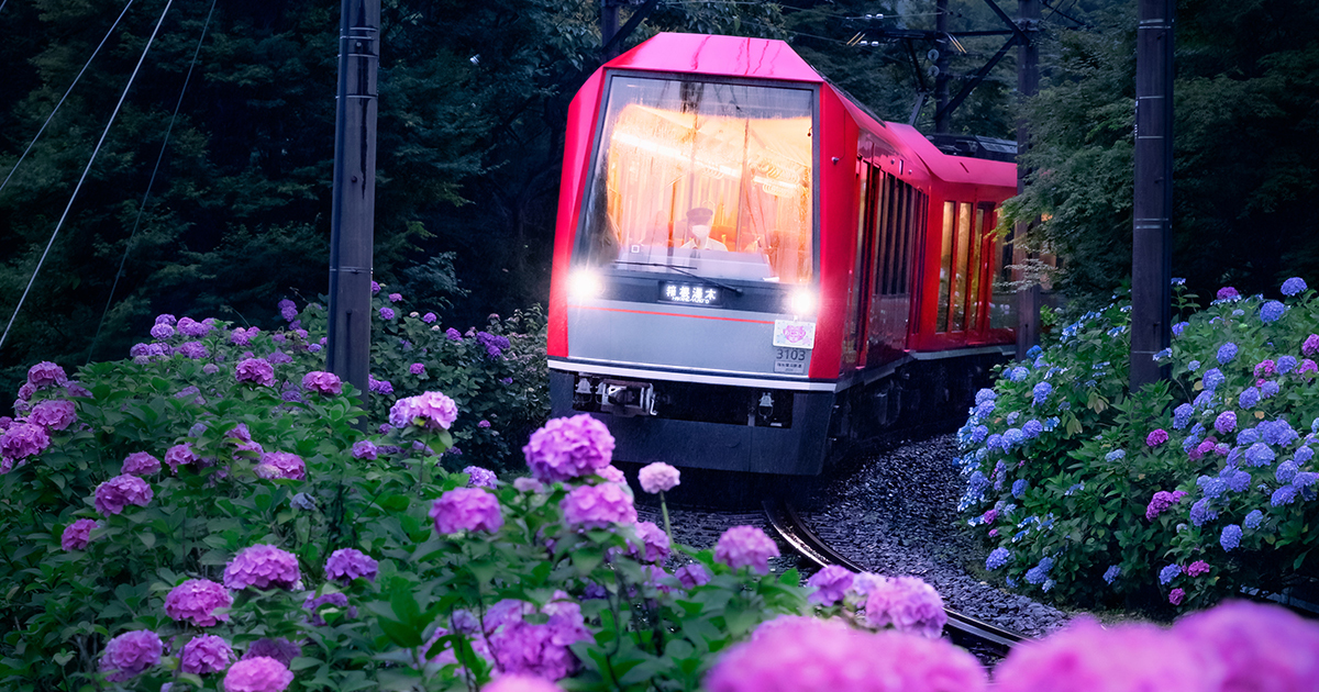 体験レポート）CAFE107×箱根登山電車 1両貸し切りの特別企画「夜のあじさい電車ツアー」6月22日開催