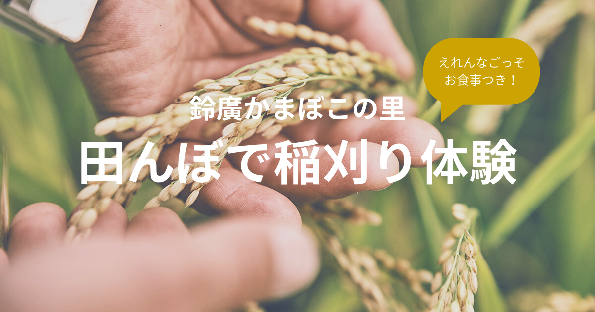 参加者募集中）農薬も化学肥料も使用しない田んぼで稲刈り体験 10月25日開催