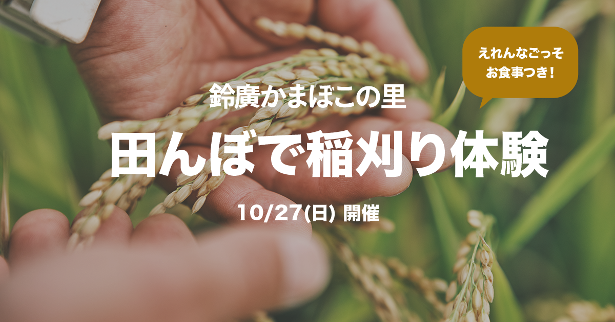 募集終了）農薬も化学肥料も使用しない田んぼで稲刈り体験 10月27日開催