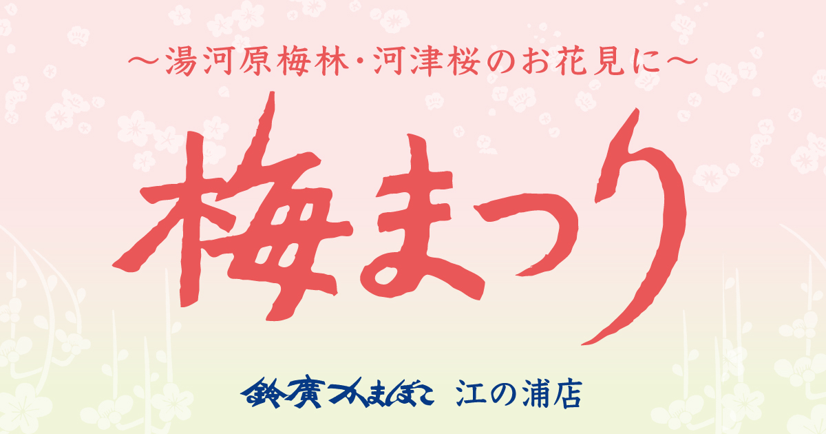 ～湯河原梅林・河津桜のお花見に～「梅まつり」開催／鈴廣かまぼこ江の浦店 1/22～2/28