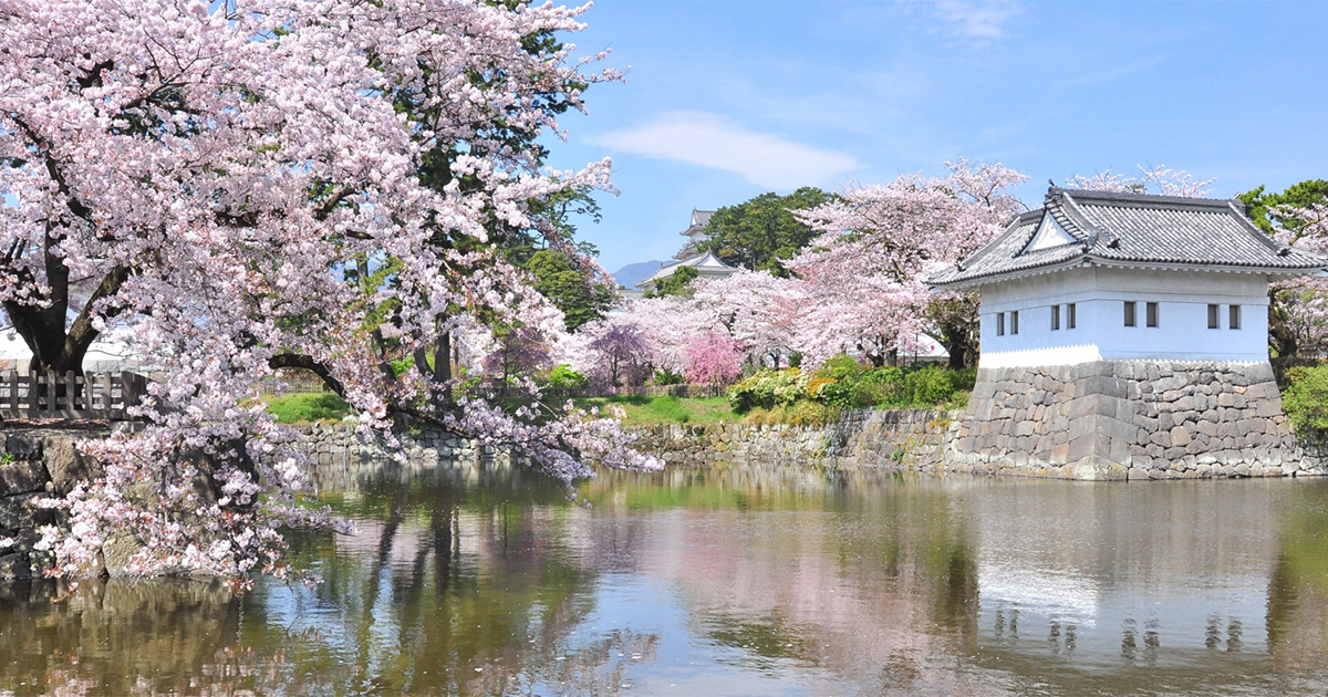 ～小田原城のお花見に～ 春のお弁当を販売／小田原駅前店 3/28～4/5