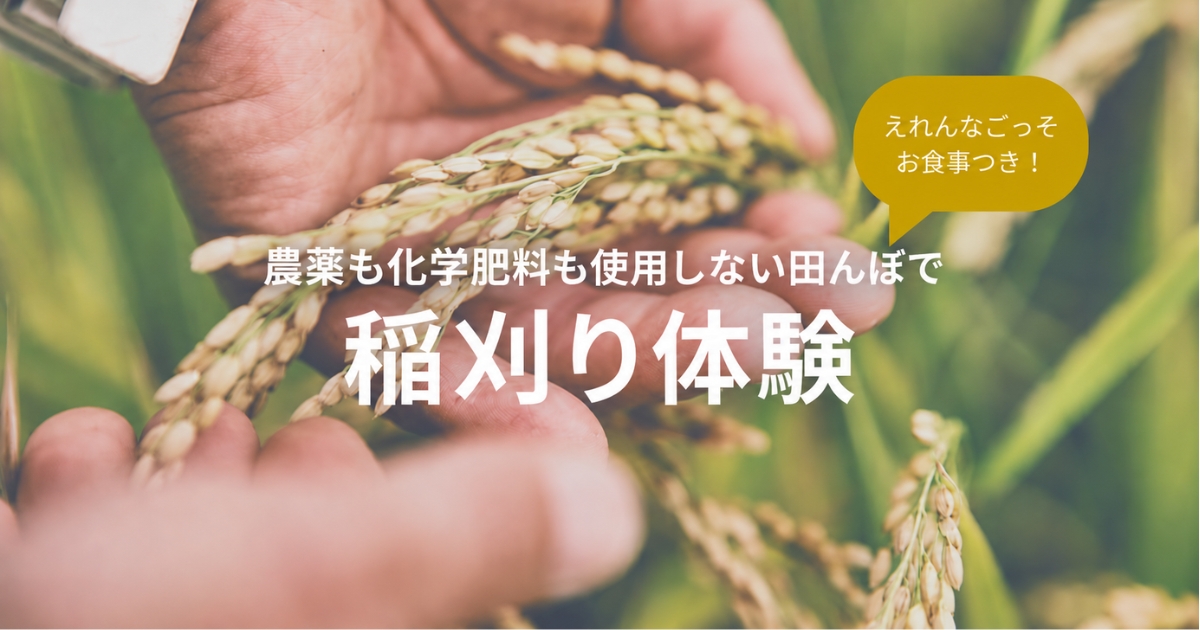農薬も化学肥料も使用しない田んぼで稲刈り体験 10月18日開催
