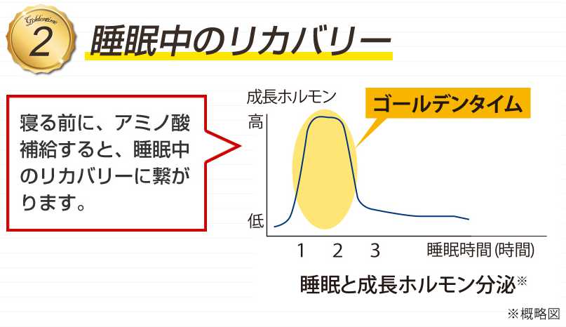 スキー スノーボード前後にやって欲しい筋肉痛予防4つのポイント サカナのちから コラム