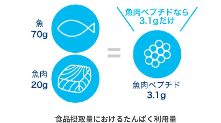 食品摂取量におけるたんぱく利用量