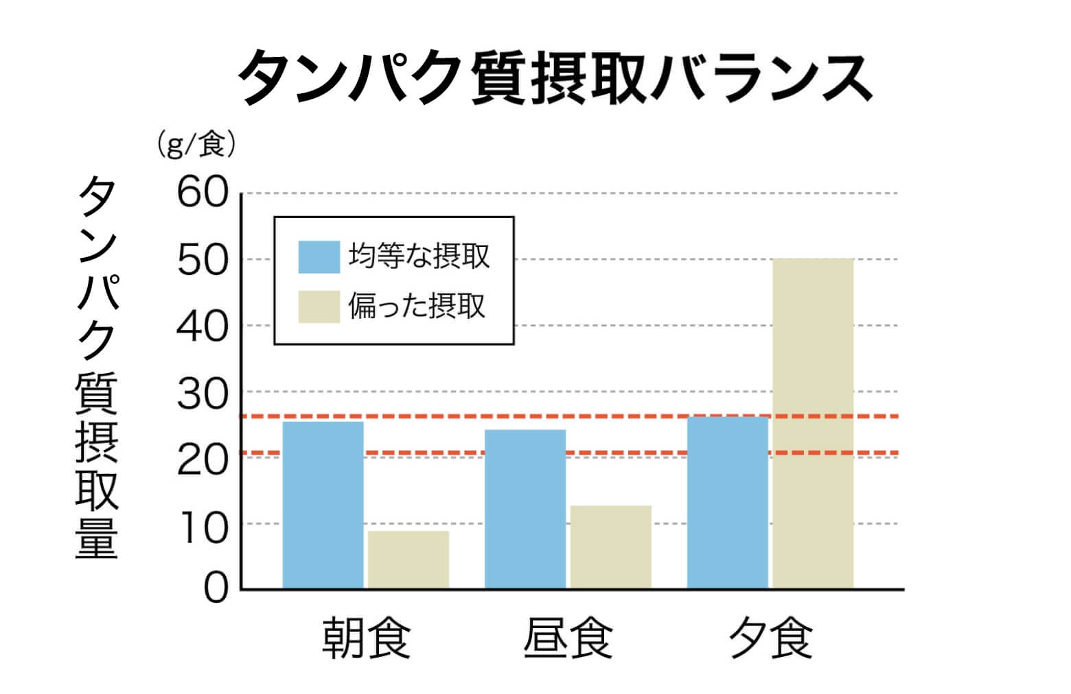 たんぱく質摂取バランス