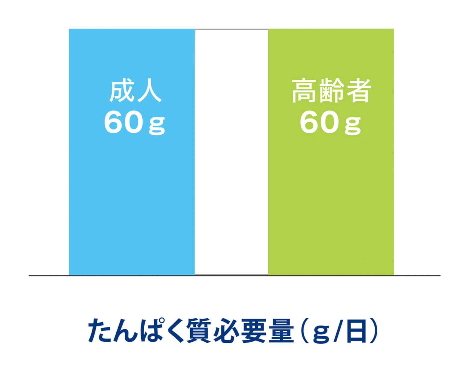 たんぱく質必要量（g/日）