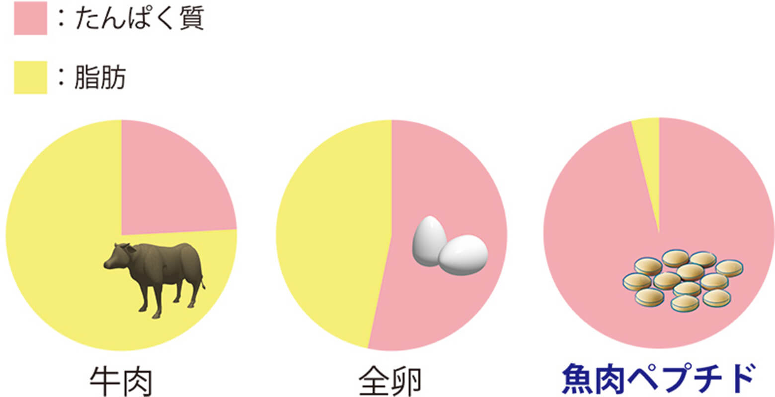 高たんぱく・低脂肪